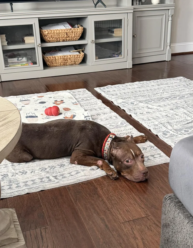 Willow Why Won’t Anyone thumbnail 6