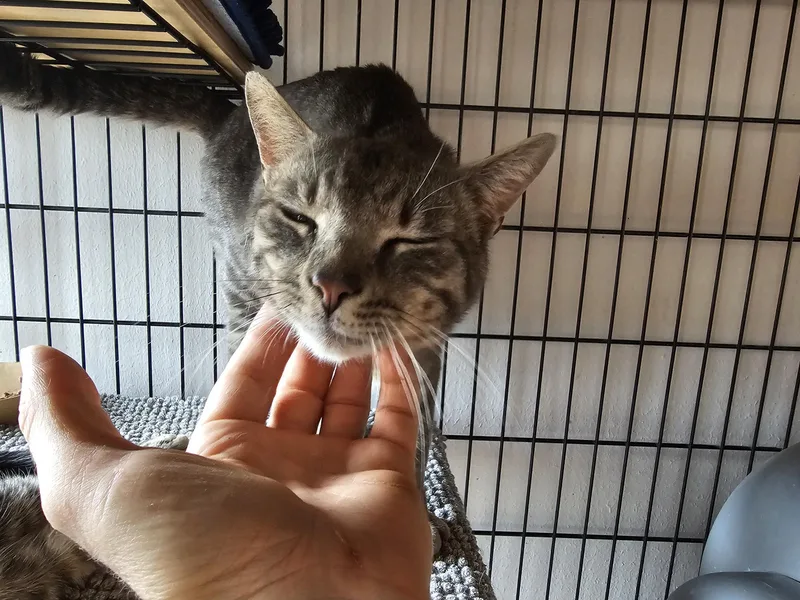 Junipero & Wally thumbnail 2