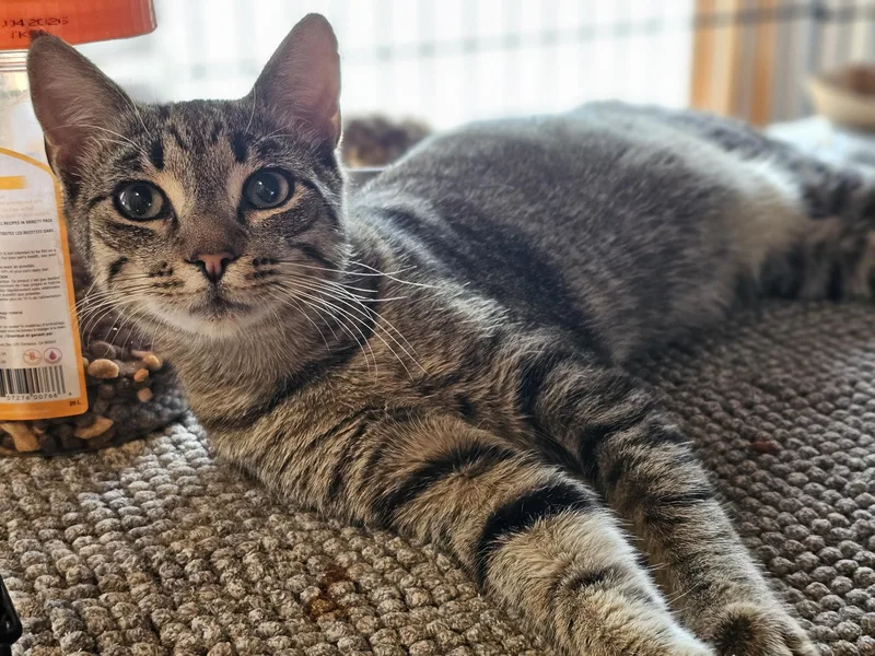 Junipero & Wally thumbnail 5