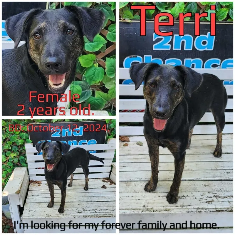 Terri thumbnail 3