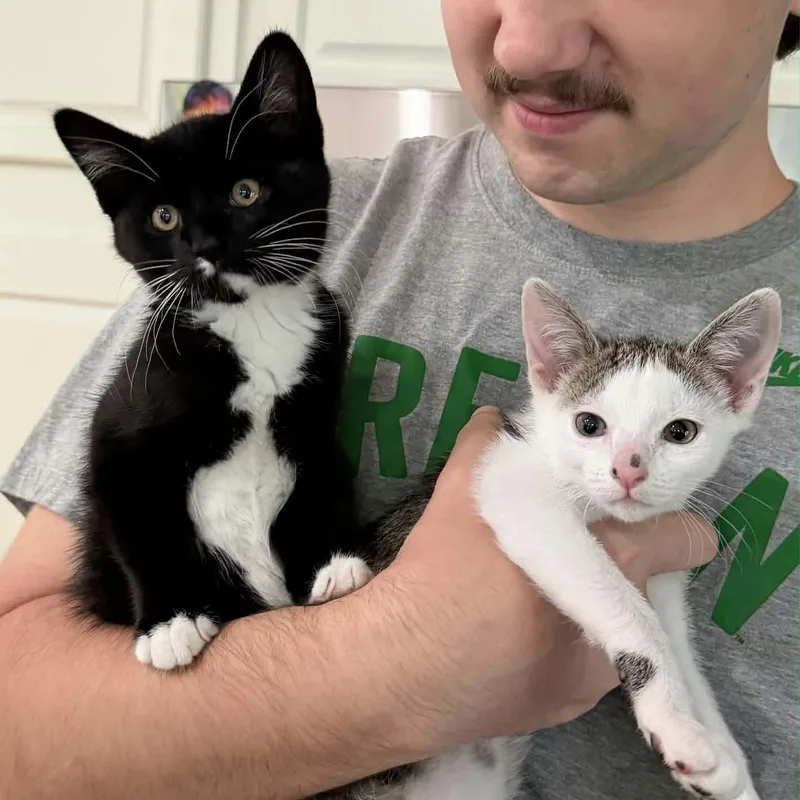 Tucker thumbnail 2