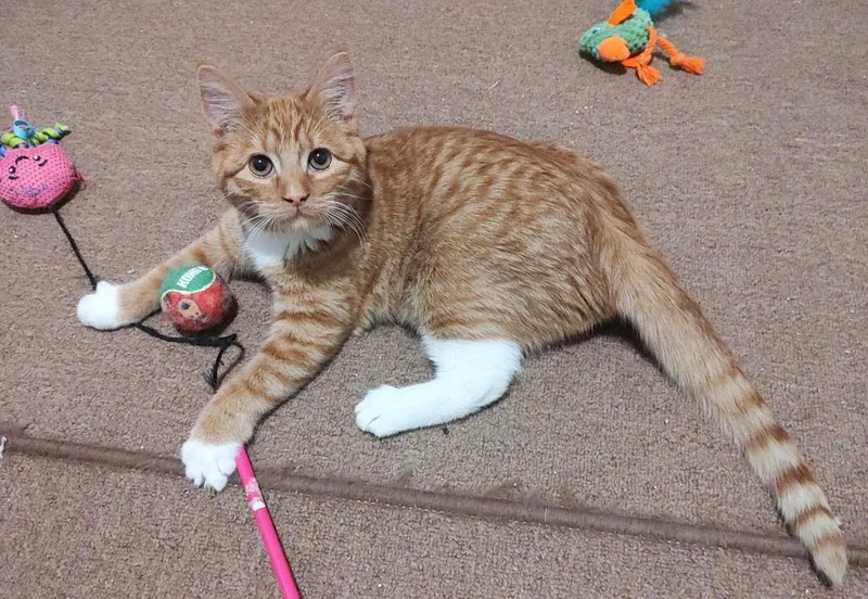 Sally And Augustus thumbnail 2