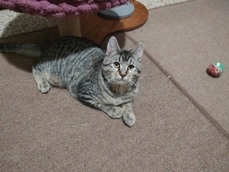 Sally And Augustus thumbnail 3