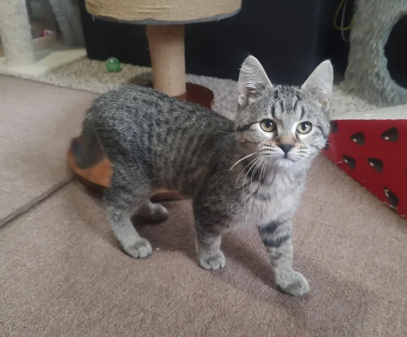 Sally And Augustus thumbnail 5