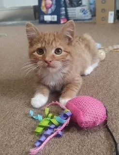 Sally And Augustus thumbnail 6