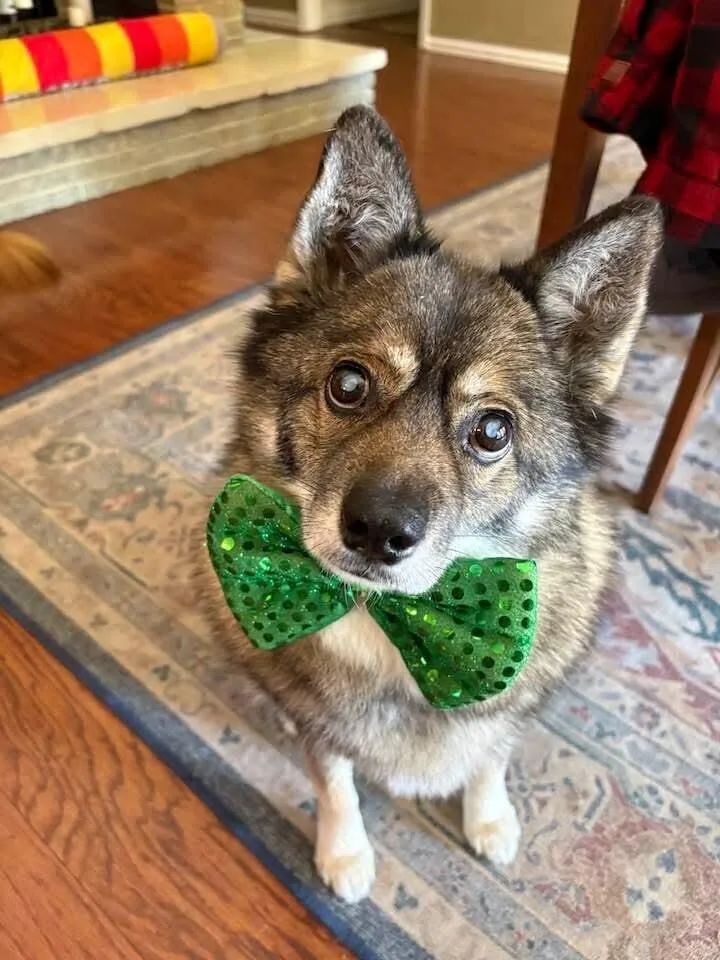 Louie Fka Lobo thumbnail 4