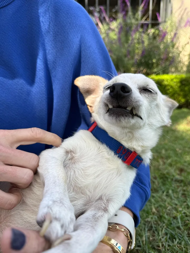 Leonard  the most thumbnail 3