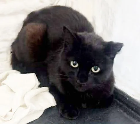 Georgie Park thumbnail 2