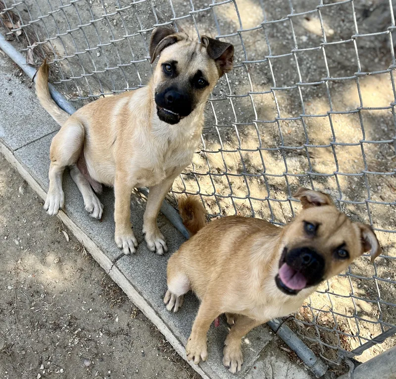 Bob & Mike thumbnail 3