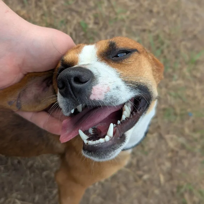 Amber Marie Coldnose thumbnail 6