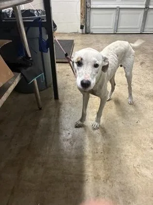 Max
