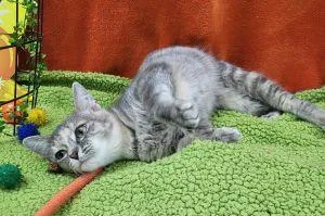 Charlotte thumbnail 3