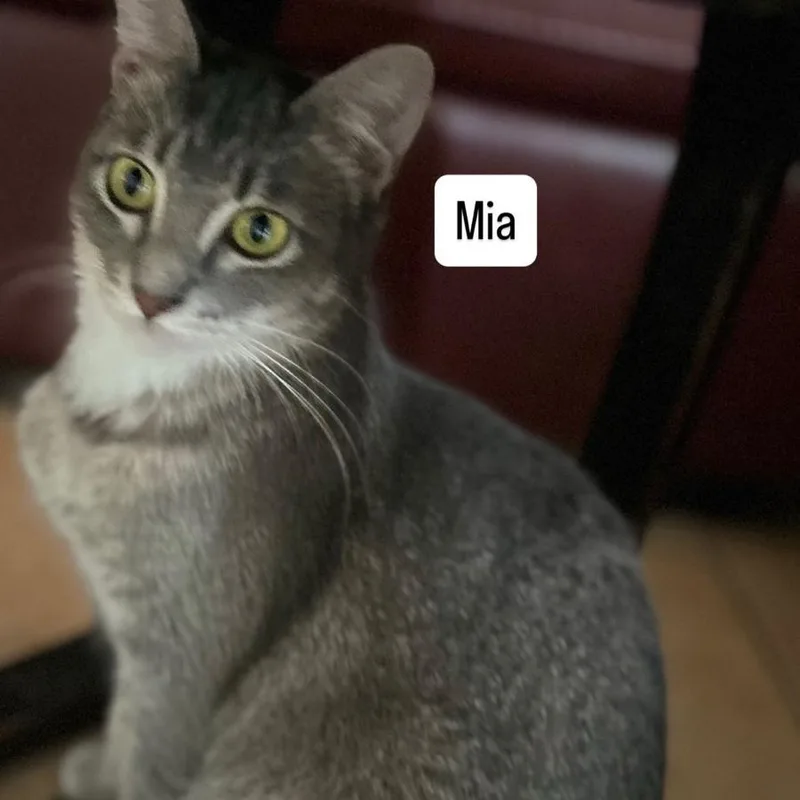 Mia thumbnail 5