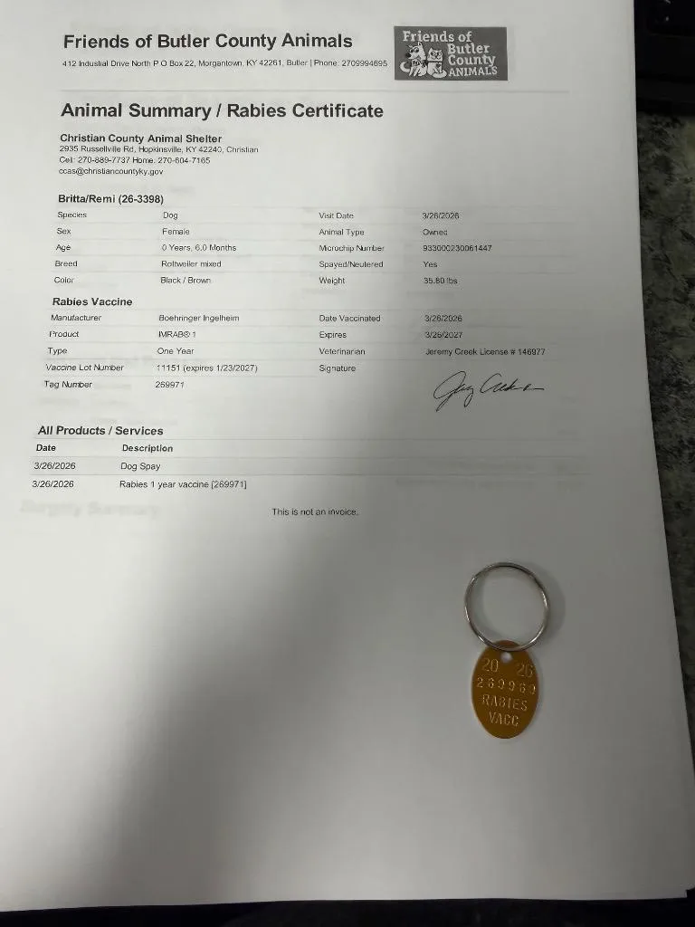 Brittaremi thumbnail 2