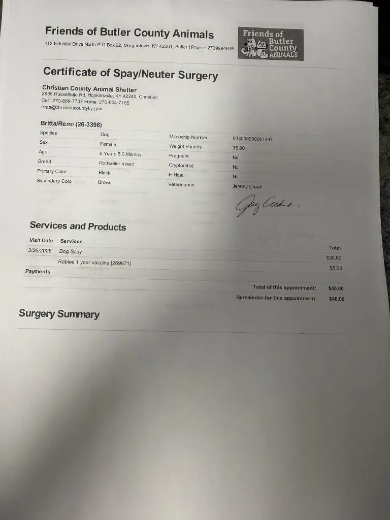 Brittaremi thumbnail 3