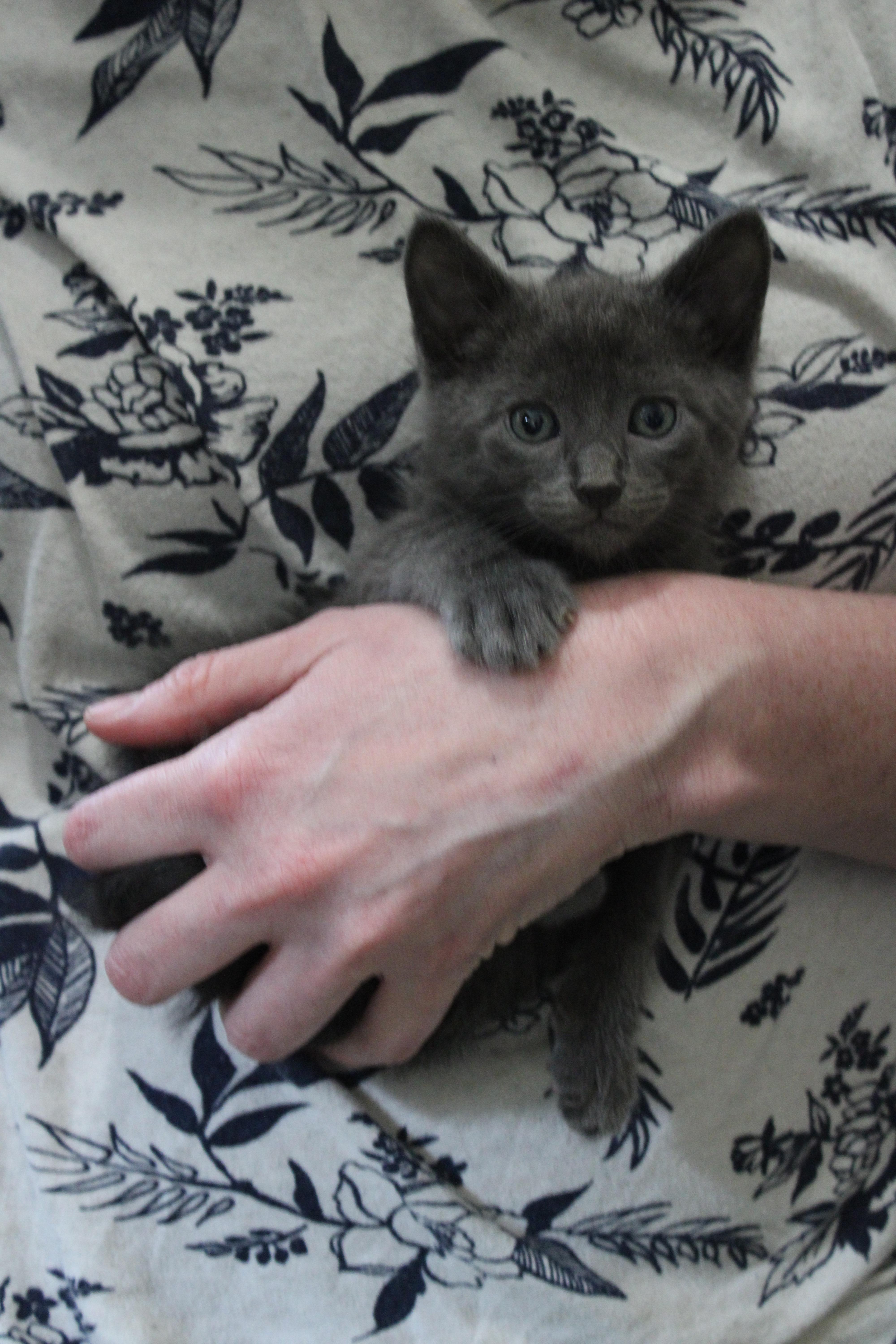 Sheldon Has A Kink thumbnail 2