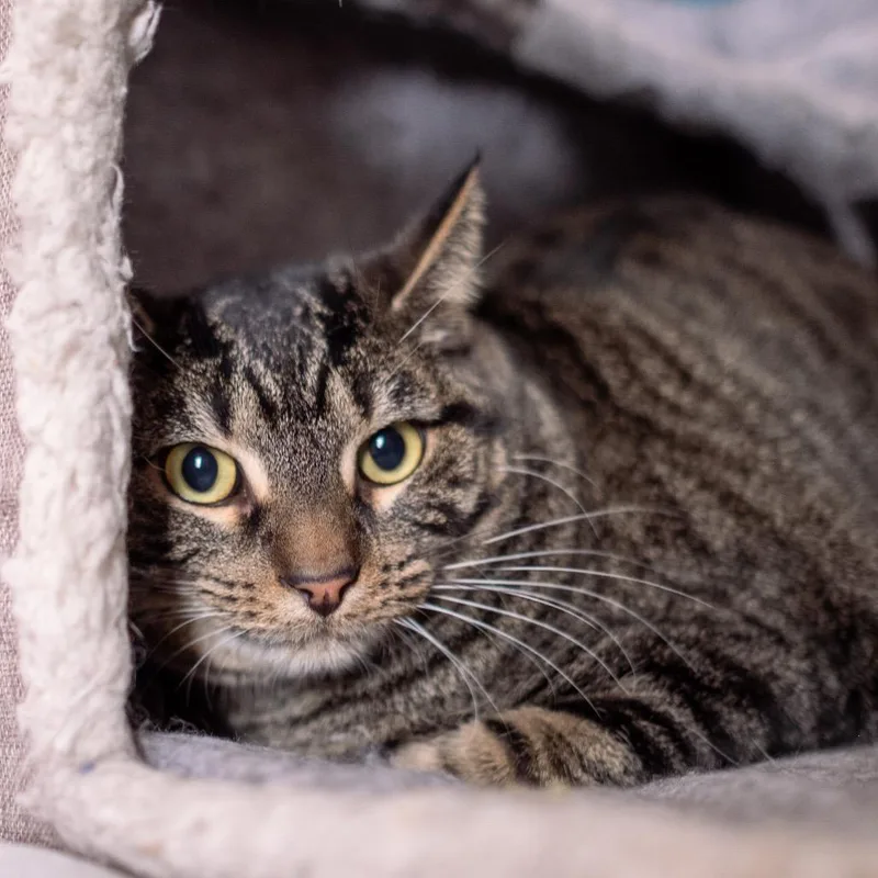 Sonny Jones thumbnail 2