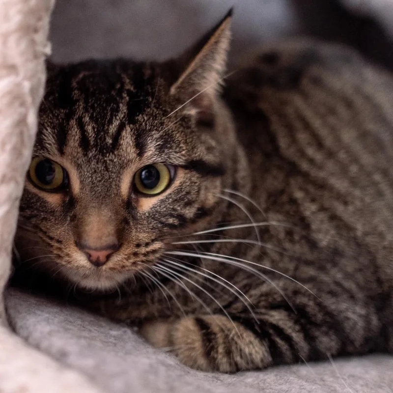 Sonny Jones thumbnail 3