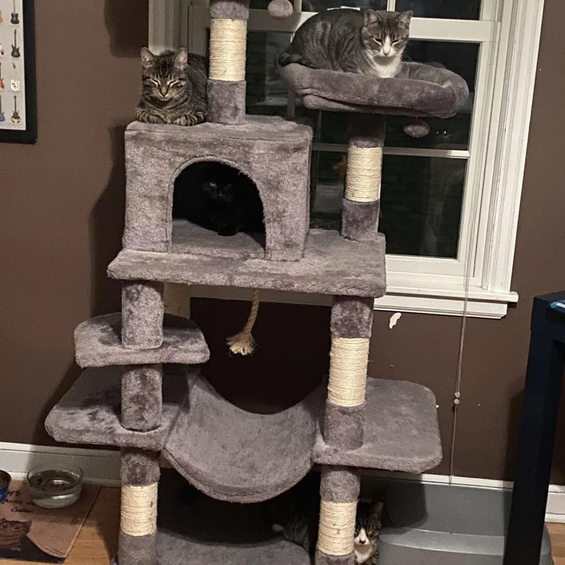 Sonny Jones thumbnail 4