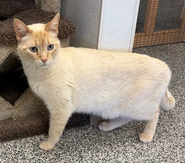 Frederick thumbnail 2