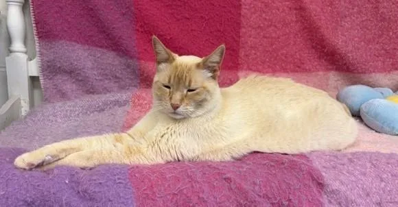 Frederick thumbnail 3