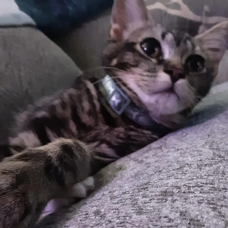 Andy thumbnail 5