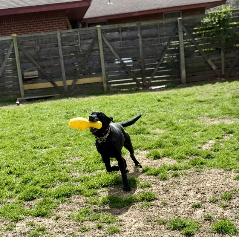 George thumbnail 4