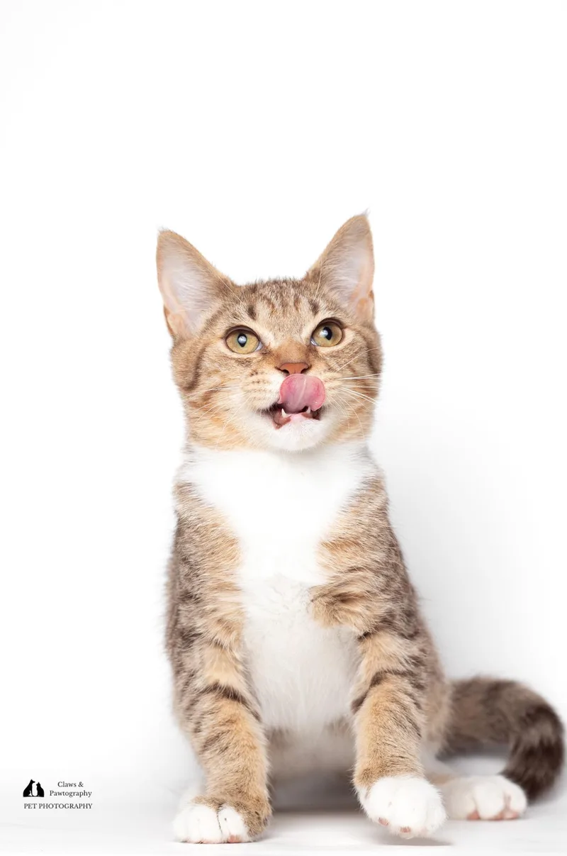 Daniel @ Fat Cat thumbnail 2