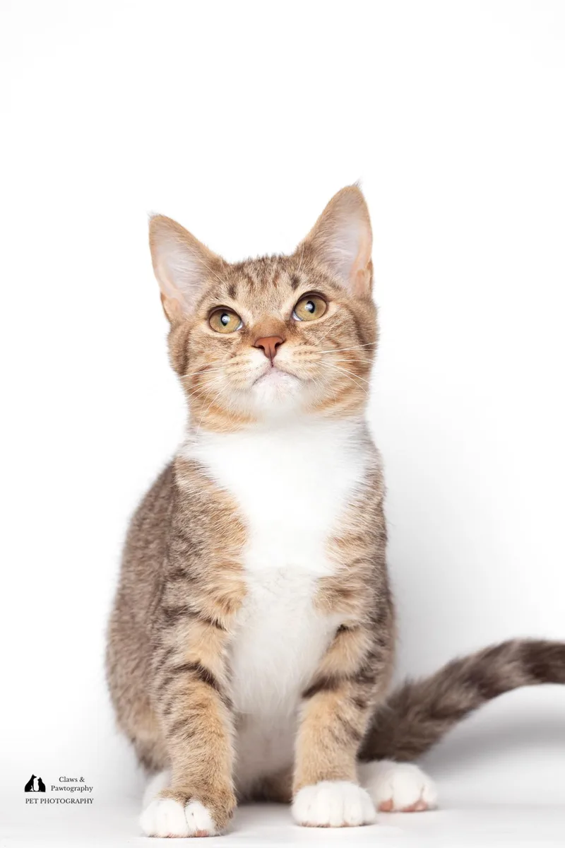 Daniel @ Fat Cat thumbnail 4