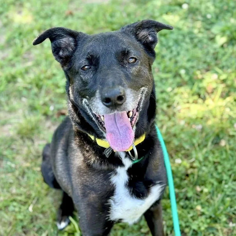 Clara Bell thumbnail 2