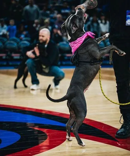 Lara Croft thumbnail 2