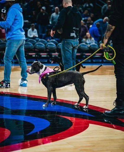 Lara Croft thumbnail 3