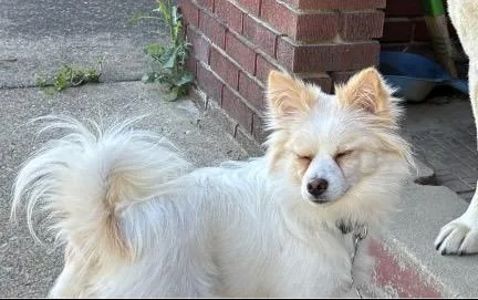 Bella thumbnail 5