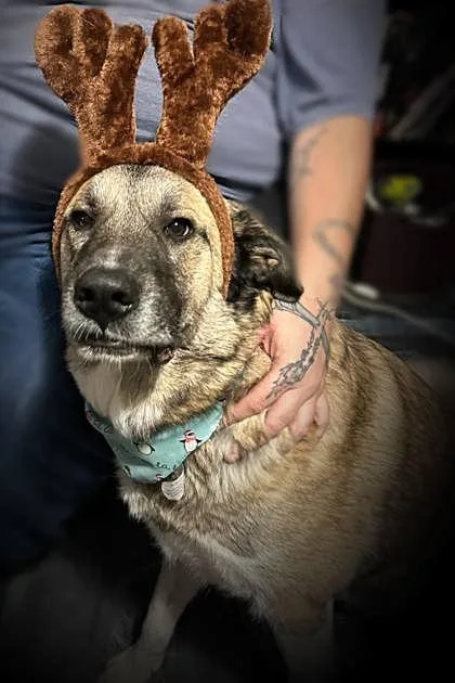 Kida Vanellope Vonschweetz thumbnail 2