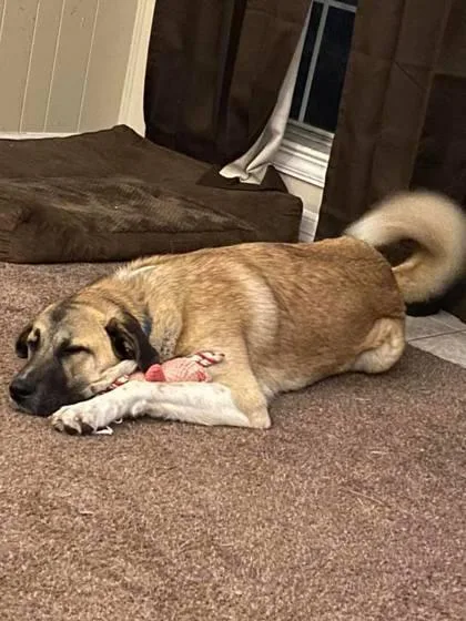 Kida Vanellope Vonschweetz thumbnail 3