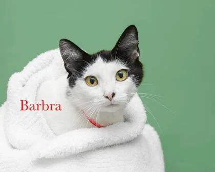 Barbra