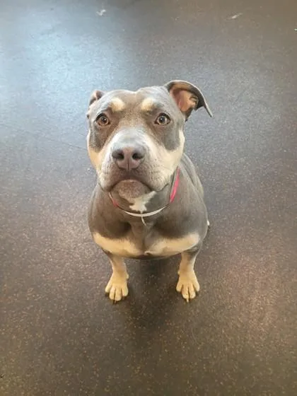 Smiley Fry thumbnail 2