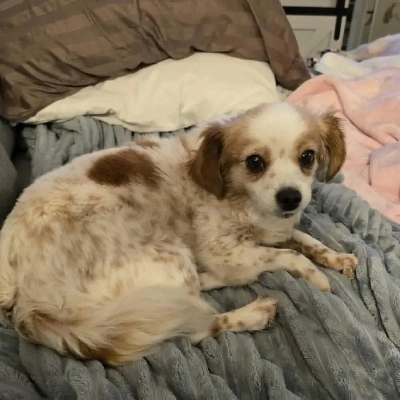 Eloise