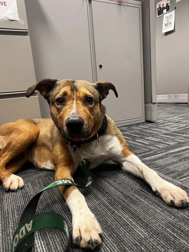 Firestar thumbnail 2