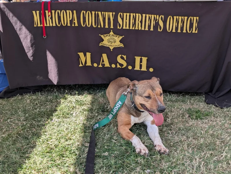 Firestar thumbnail 3