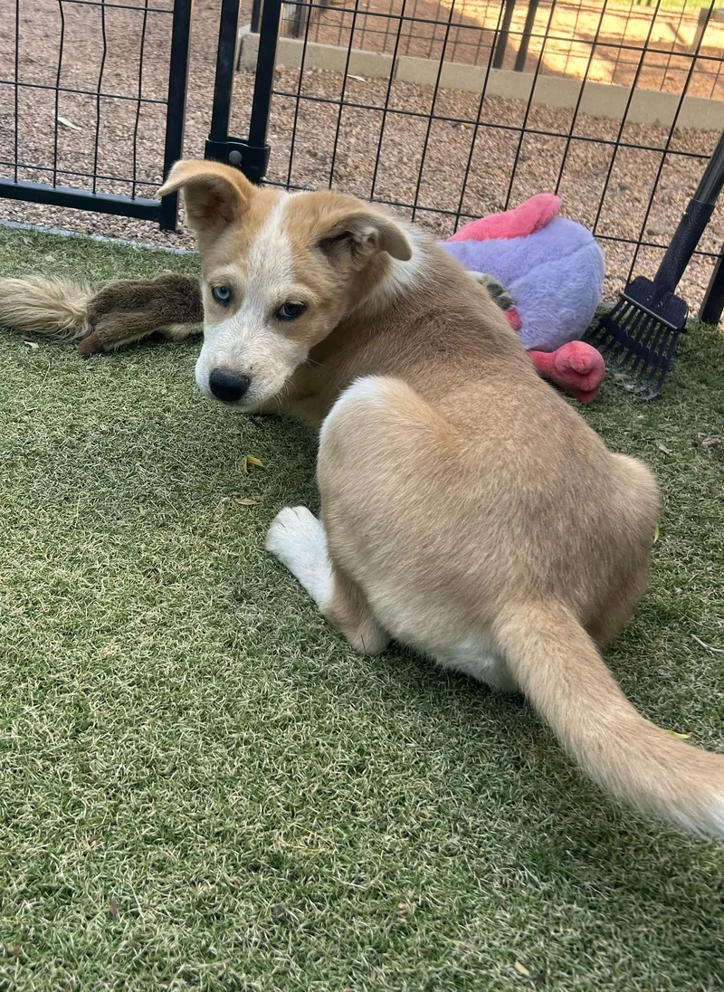 Grandview thumbnail 2