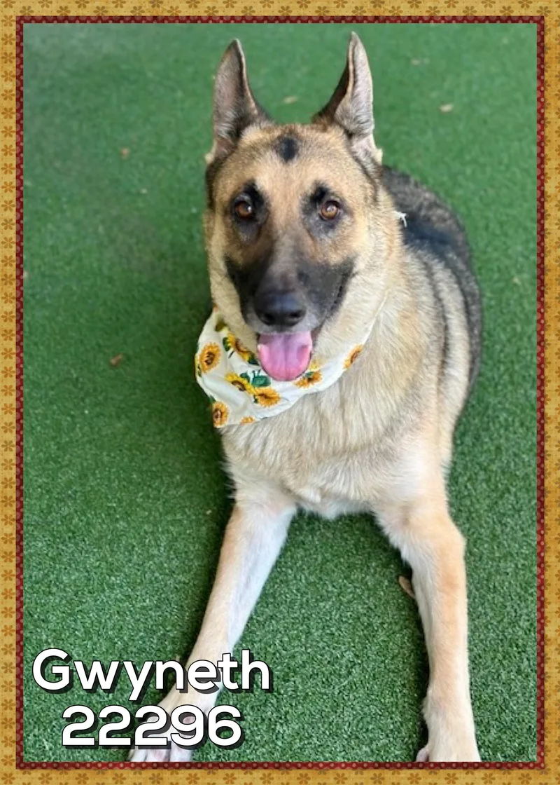 Gwyneth thumbnail 2