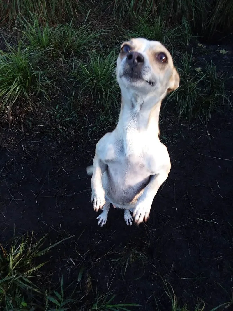 Talia Rose thumbnail 2