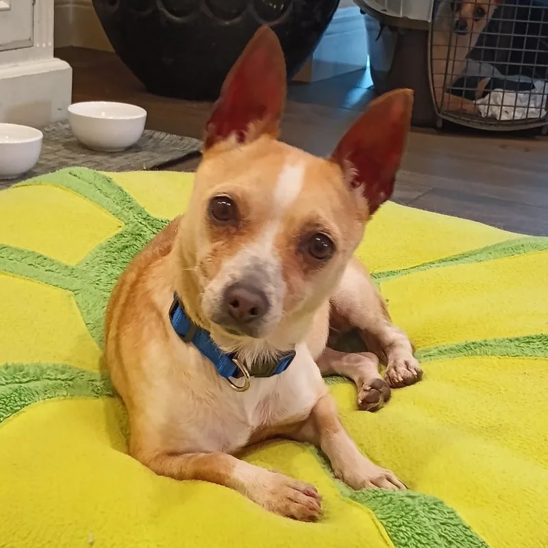 Talia Rose thumbnail 3