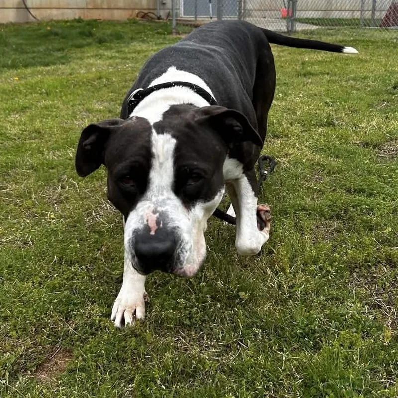 Martha Stu thumbnail 2