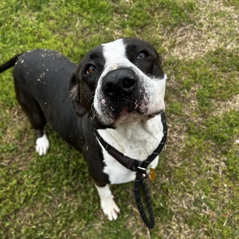 Martha Stu thumbnail 3