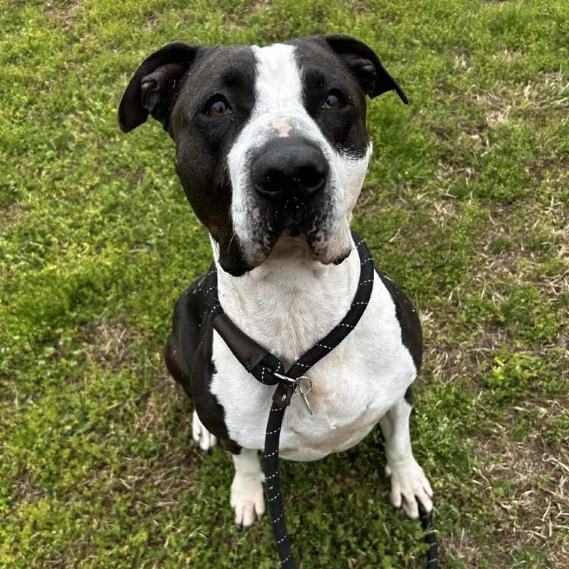 Martha Stu thumbnail 4