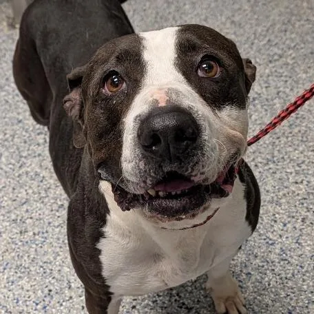 Martha Stu thumbnail 5