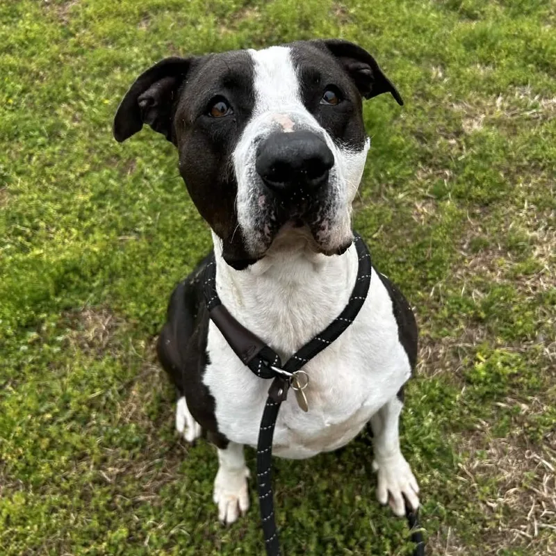 Martha Stu thumbnail 6