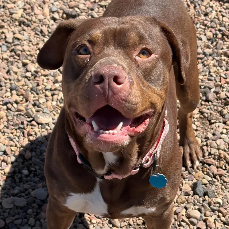 Mary Jane thumbnail 2